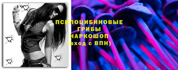 тгк Богородицк