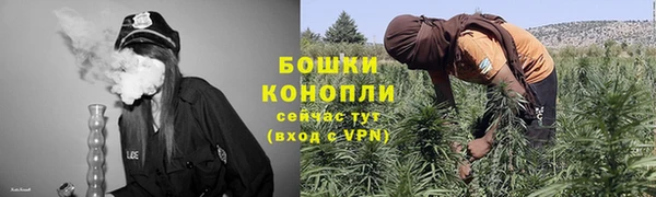 тгк Богородицк