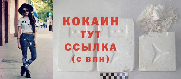 тгк Богородицк