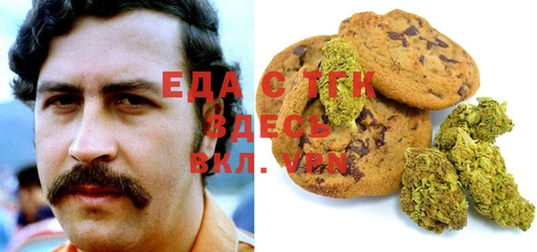 тгк Богородицк