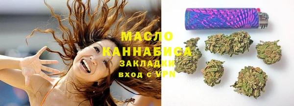тгк Богородицк