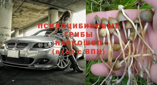 тгк Богородицк