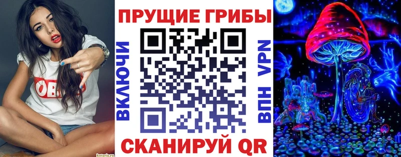 Псилоцибиновые грибы ЛСД blacksprut зеркало Самара наркошоп